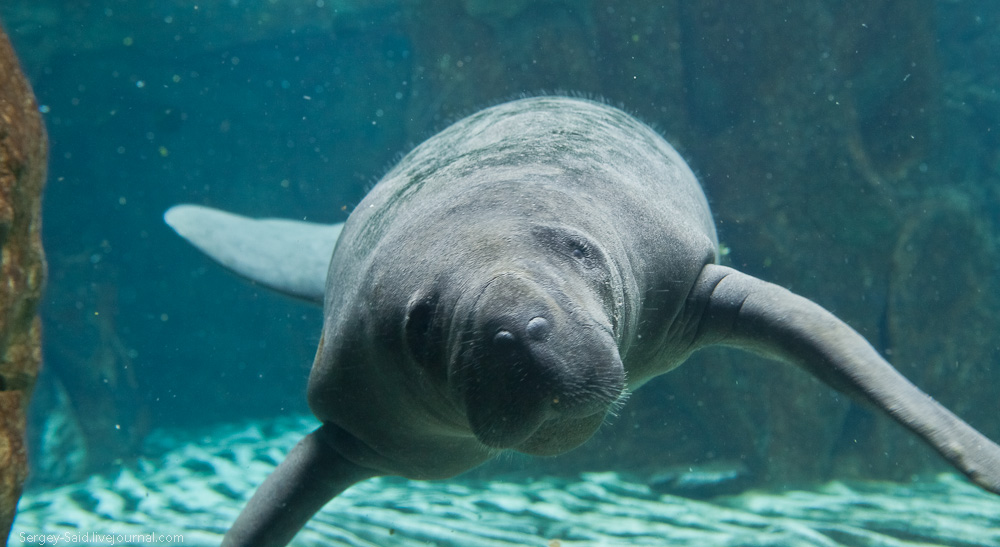 The only emotion greater than fear, is hope