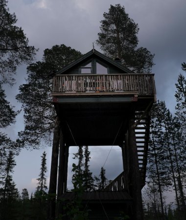 Tretopphytte, sett det på&nbsp;bucketlista!