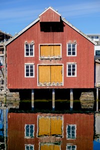 Rørvik, der Hurtigruta møtes hver kveld og måkene har reir i takmøne