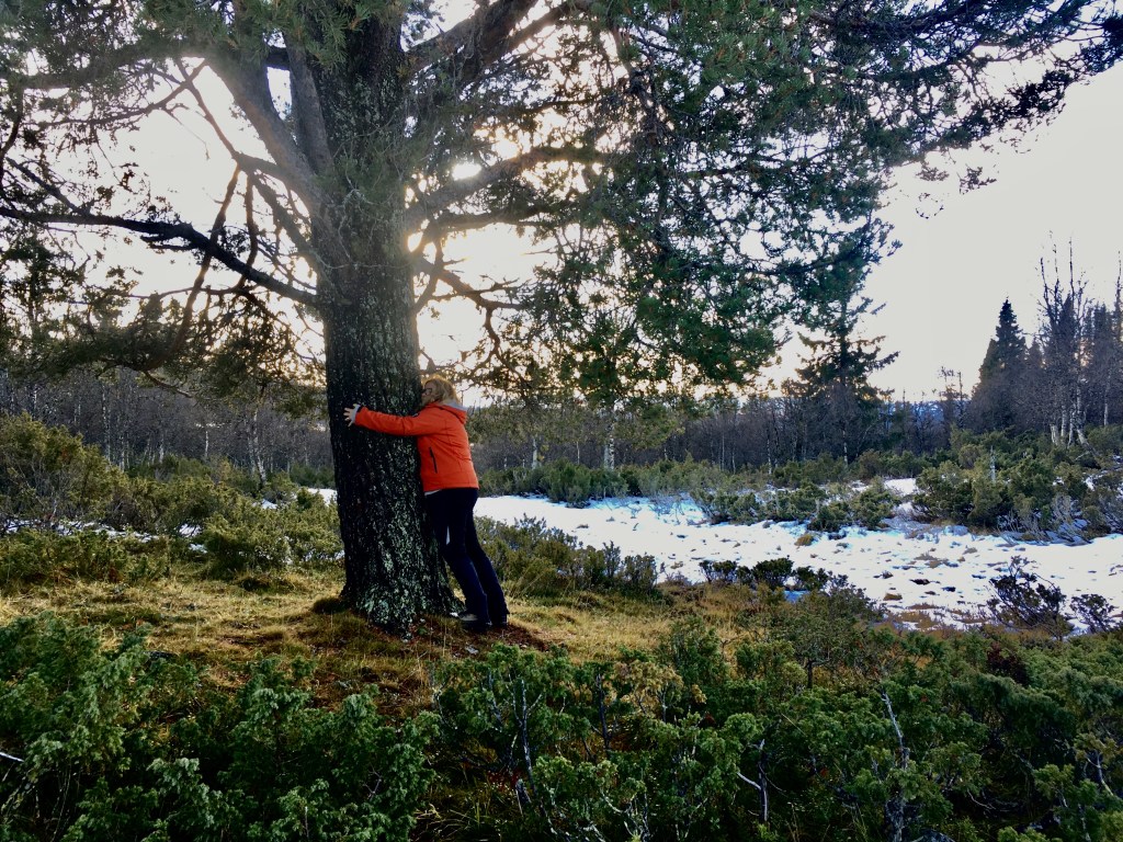 Vi har funnet en&nbsp;kul
